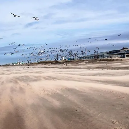 Bed&Beach Noordwijk - free parking&close to beach!-2
